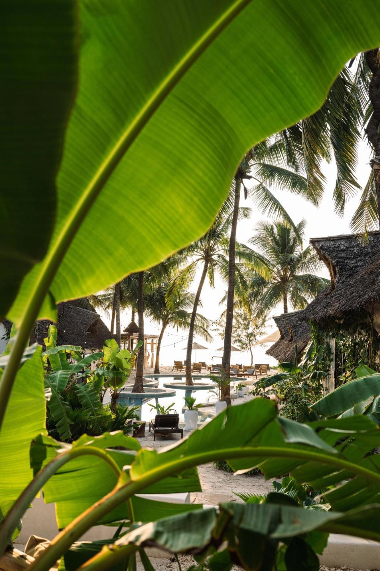 Mala Boutique Hotel Bwejuu Buitenkant foto